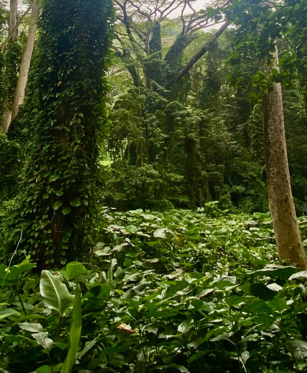 5 Mental Health&nbsp;Tips